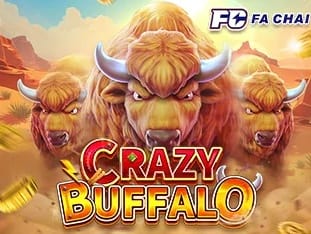 Crazy Buffalo game cover