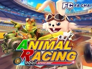 Animal Racing game cover