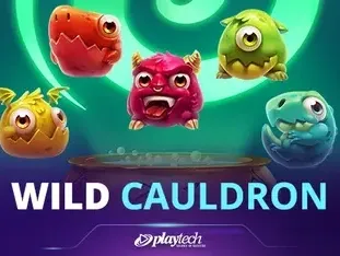 Wild Cauldron game cover